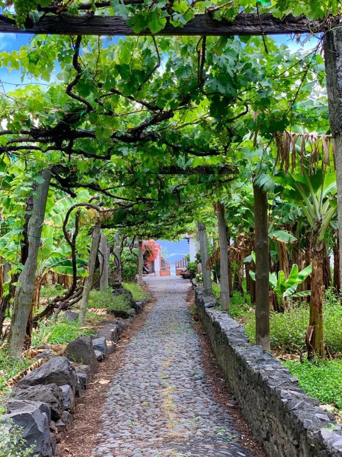 Faja Dos Padres Villa Ribeira Brava Exterior foto