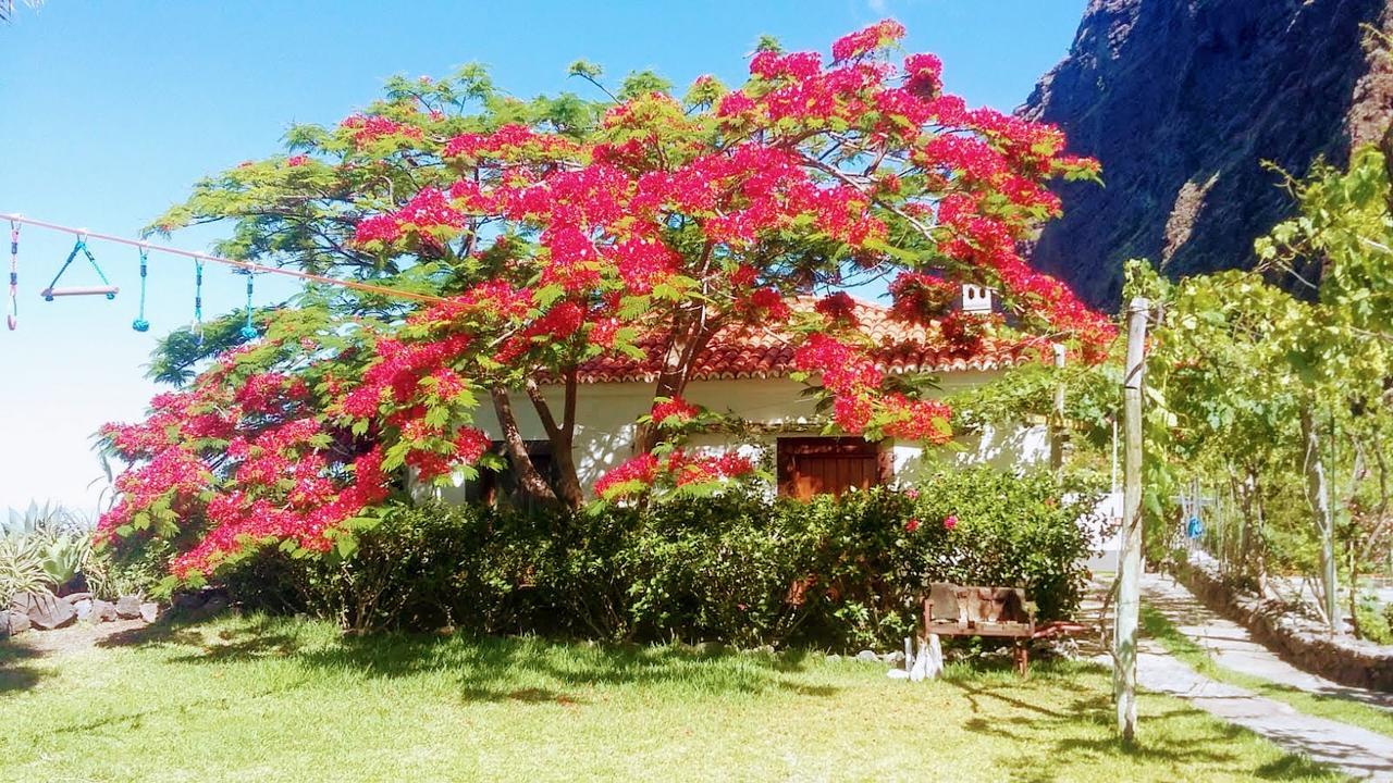 Faja Dos Padres Villa Ribeira Brava Exterior foto