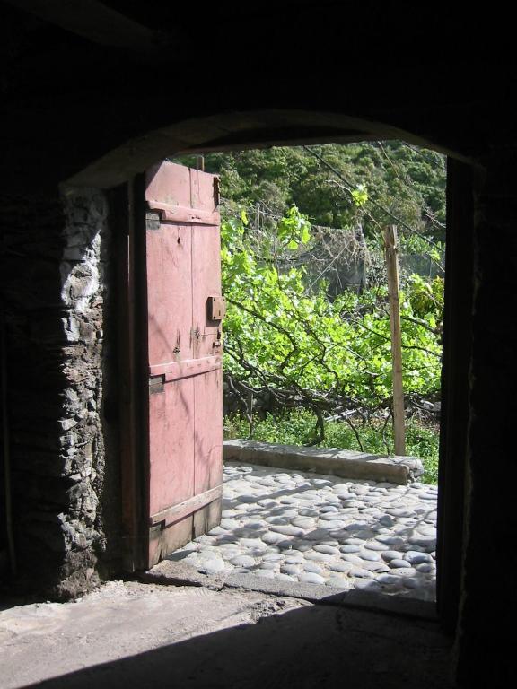 Faja Dos Padres Villa Ribeira Brava Exterior foto